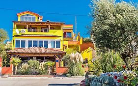 Apartments Maslina